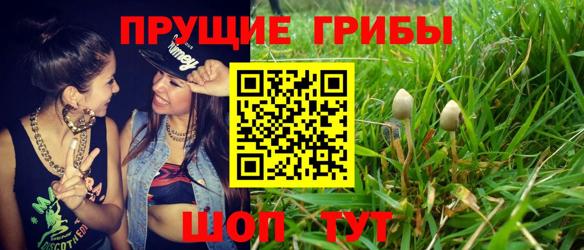 Гашиш Пятигорск