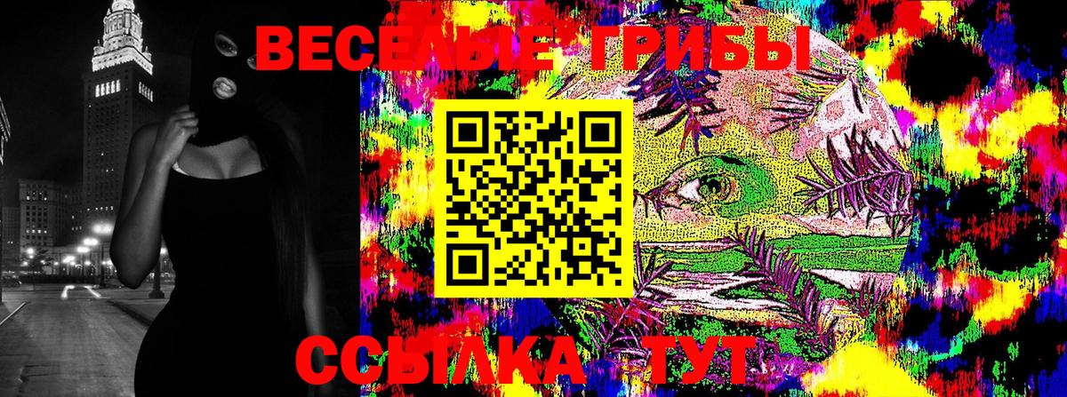 Пятигорск  Псилоцибиновые грибы Psilocybine cubensis  что такое   Вход с VPN 