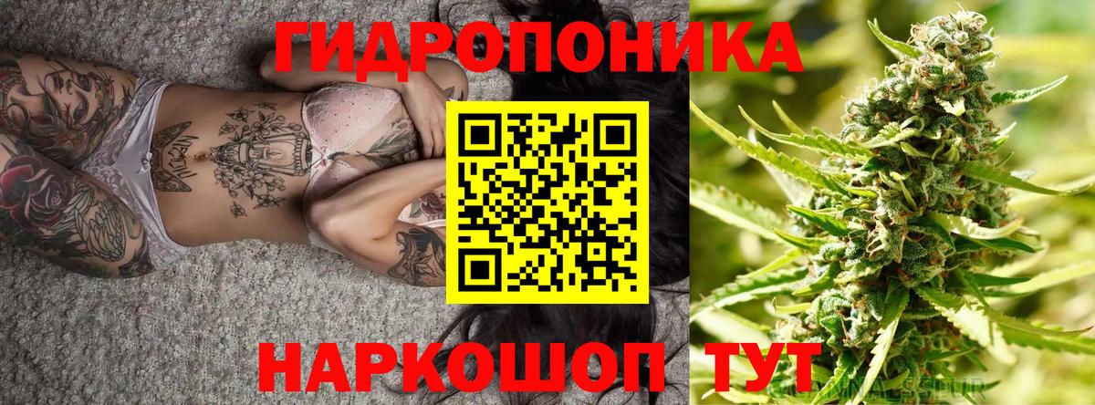 Пятигорск  Конопля план  Вход с VPN  Канабис AK-47  Каннабис Bruce Banner 